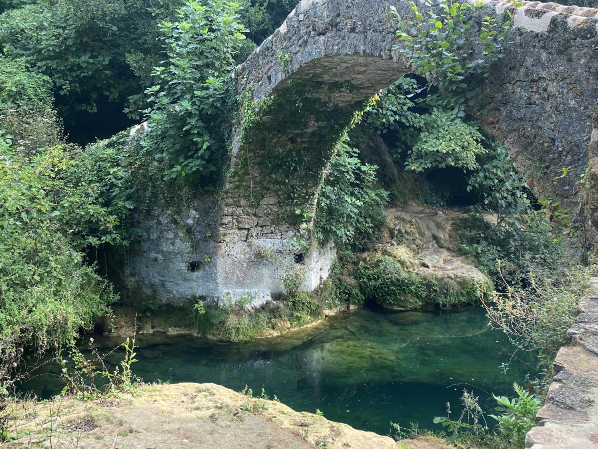 Les Lodges De Saint-Cassien 3 Montauroux Dış mekan fotoğraf