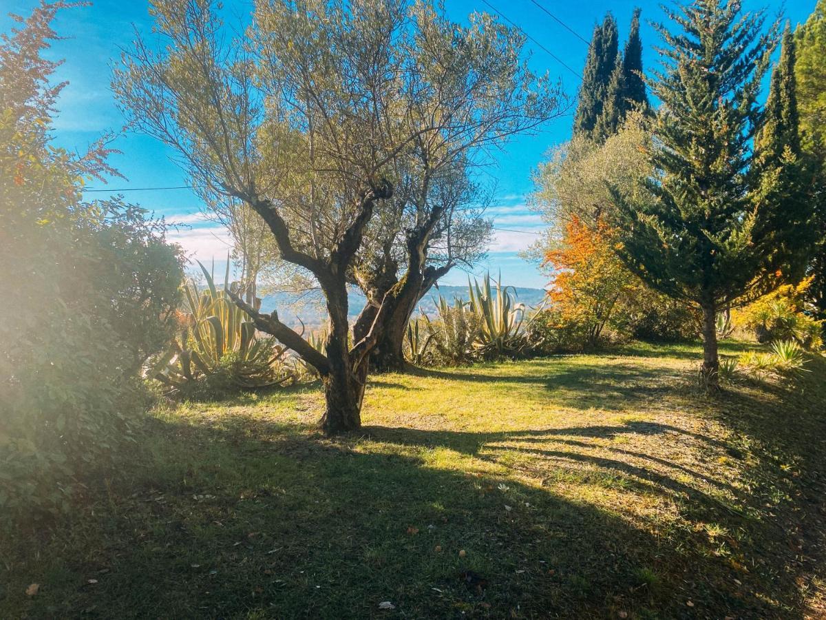Les Lodges De Saint-Cassien 3 Montauroux Dış mekan fotoğraf