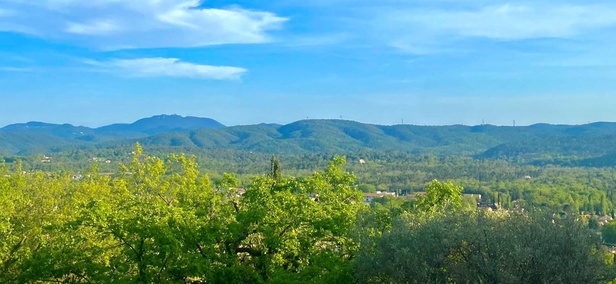 Les Lodges De Saint-Cassien 3 Montauroux Dış mekan fotoğraf